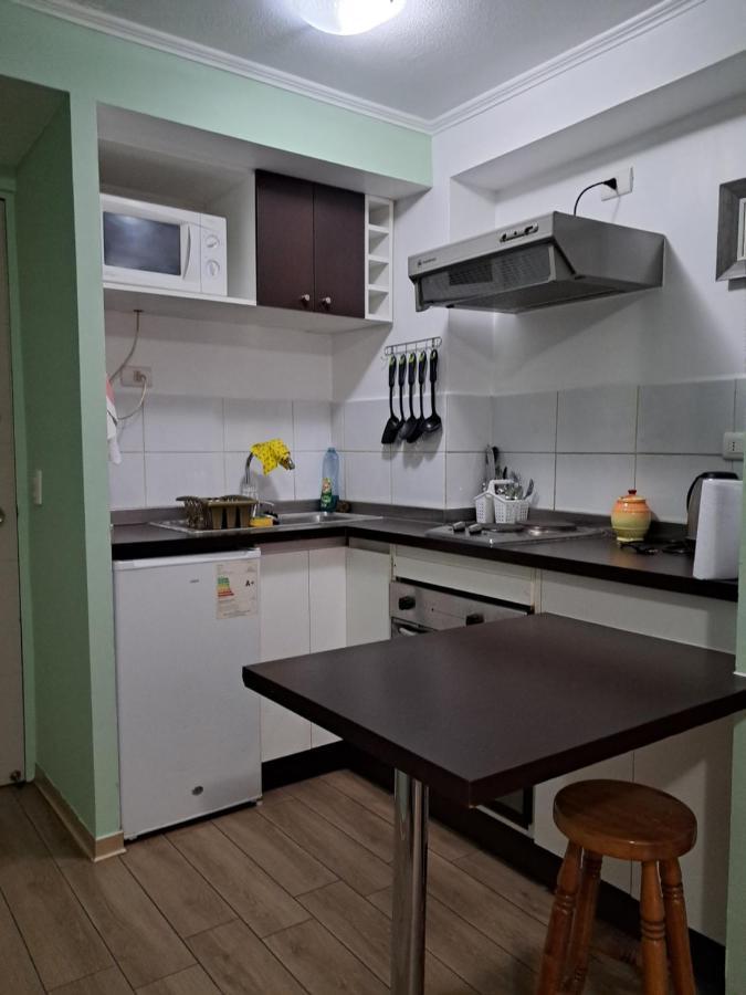 Departamento Studio Amoblado Santiago Ngoại thất bức ảnh